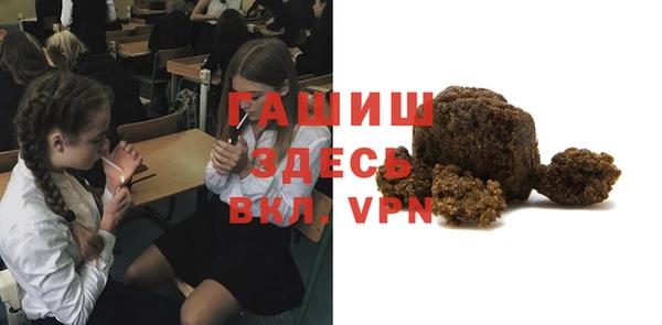 стаф Алзамай