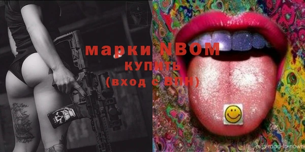стаф Алзамай