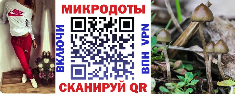 магазин    МЕГА ССЫЛКА  Псилоцибиновые грибы GOLDEN TEACHER  Устюжна 